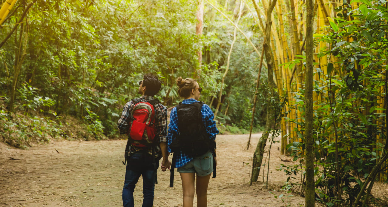 viajar de férias faça ecoturismo em chalés e domos geodésicos